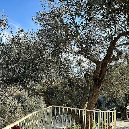 Lejlighed Sunny-hill Mjull-Bethore