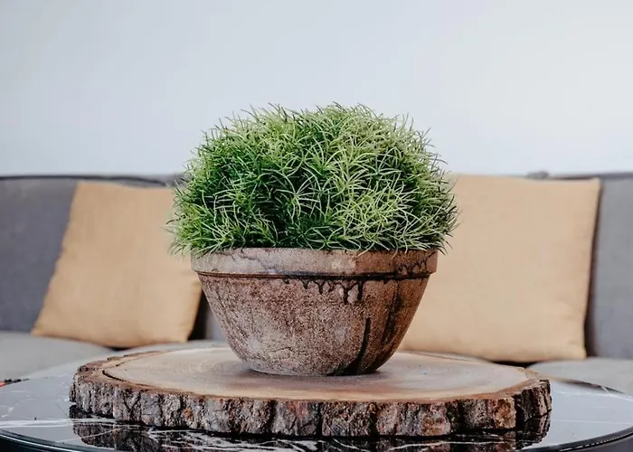 Sunny-hill * Mjull-Bethore