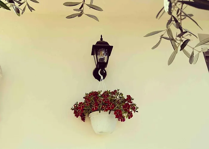 Sunny-hill Mjull-Bethore