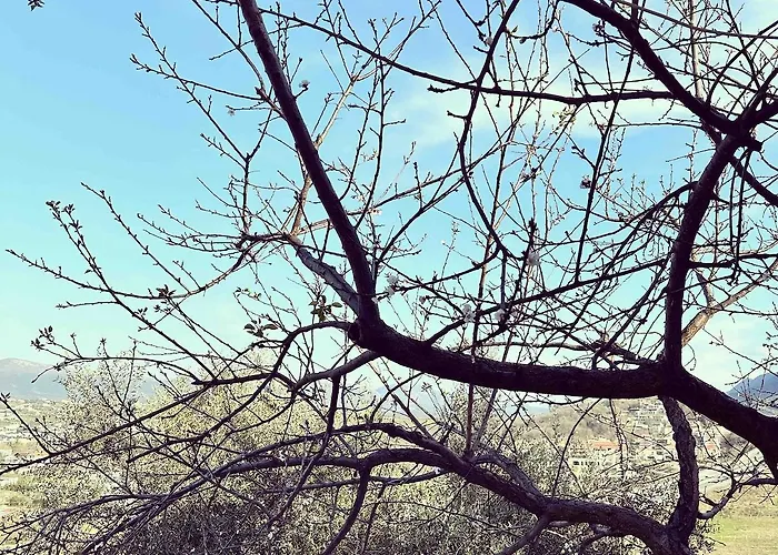 Lejlighed Sunny-hill