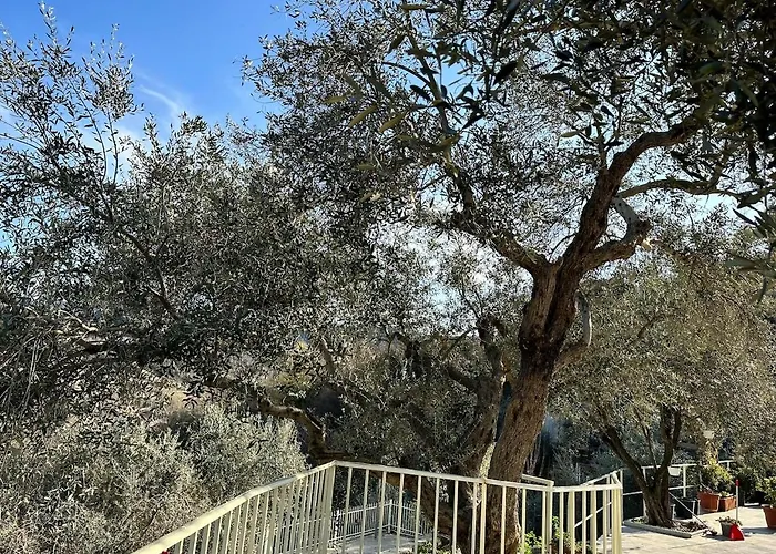 Appartement Sunny-hill Mjull-Bethore