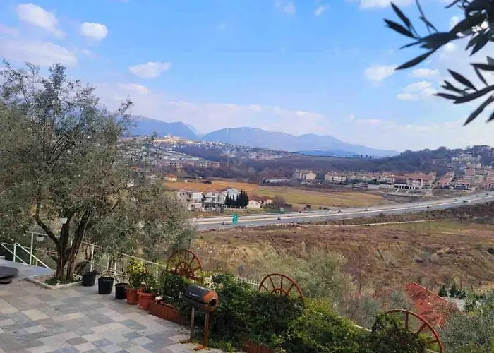 Sunny-hill * Mjull-Bethore