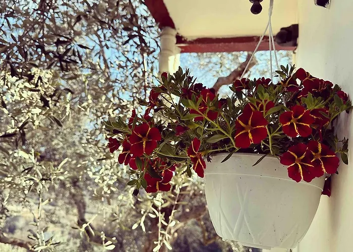 Sunny-hill Appartement